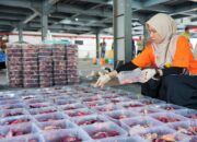Bukan Sekadar Listrik, PLN UID S2JB Juga Menebar Kepedulian Sosial
